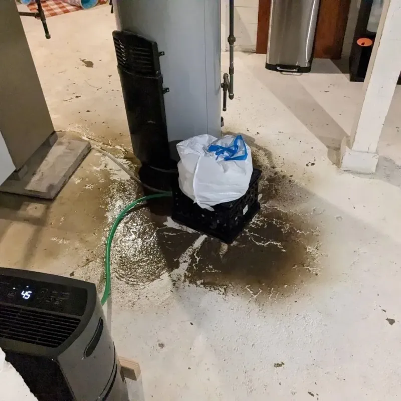Sewage Backup Cleanup Service in Pacific, MO